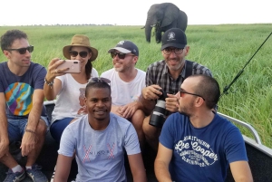 Excursión de 1 día a Chobe desde las cataratas Victoria, Zimbabue