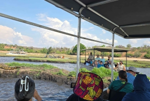 Excursión de 1 día a Chobe desde las cataratas Victoria, Zimbabue