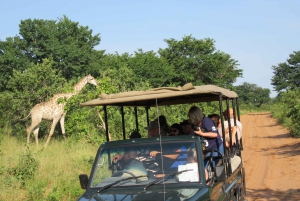 Chobe Day Trip from Victoria Falls, Zimbabwe
