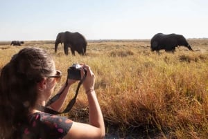 Chobe dagstur från Victoriafallen