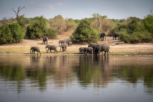 Chobe Day Trip in Botswana