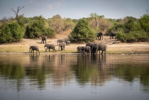Gita di un giorno al Chobe in Botswana