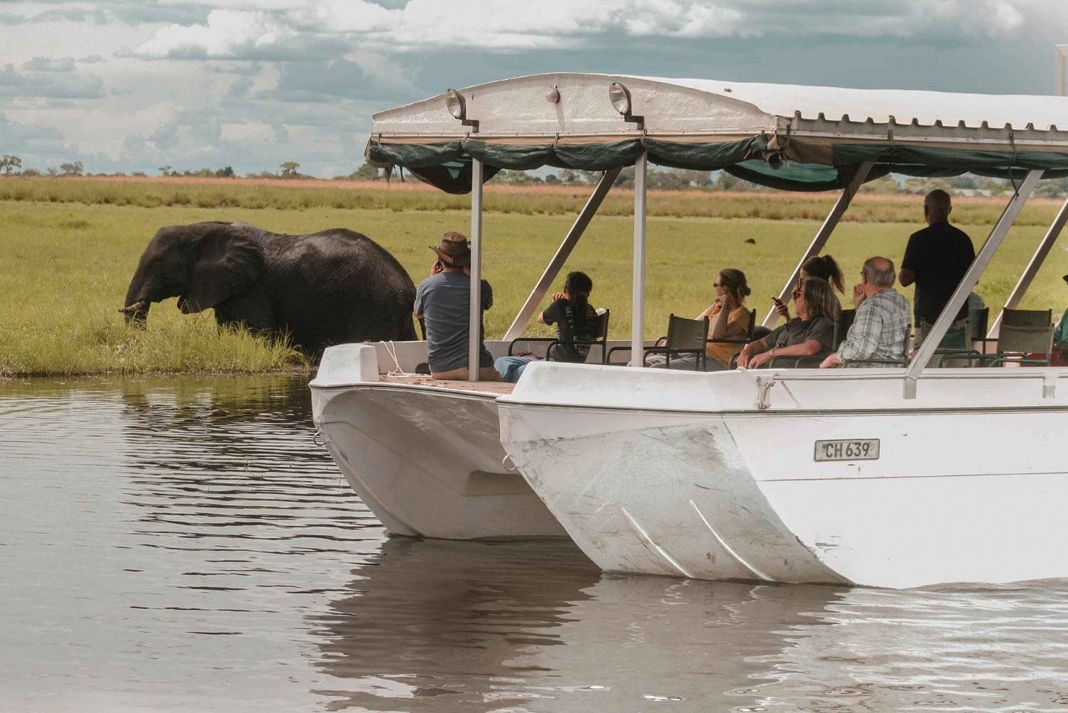 Excursion d'une journée à Chobe avec déjeuner : Depuis les chutes Victoria