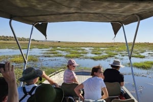 Viagem de 1 dia no Parque Nacional de Chobe