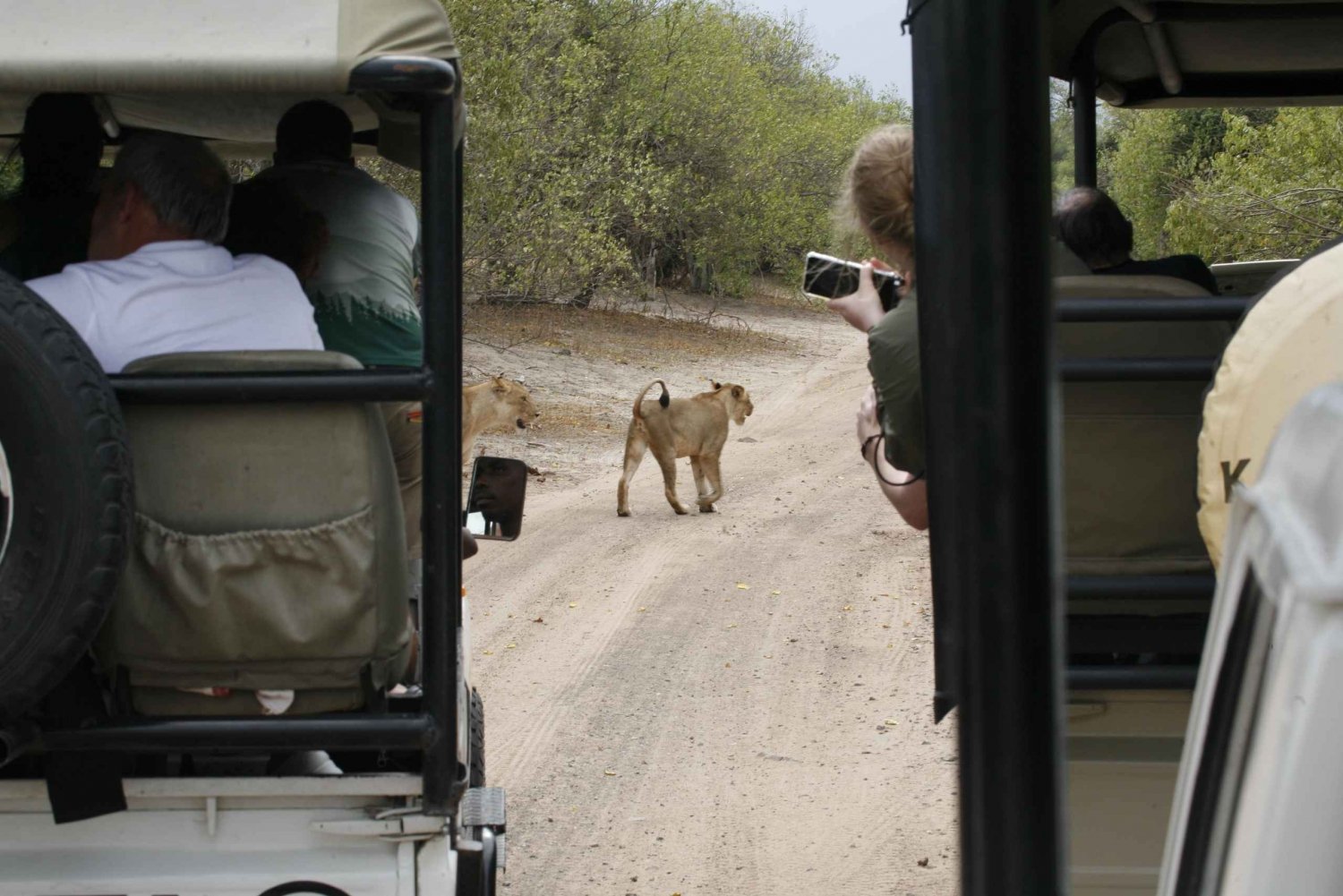 Excursion d'une journée à Chobe