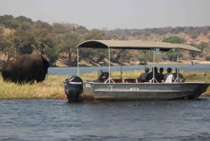 Viagem de 1 dia prolongado ao Chobe