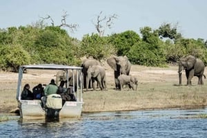 Chobe Tagestour - Chobe National Park Botswana