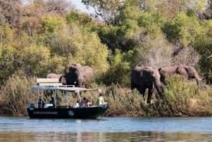 Chobe Tagestour - Chobe National Park Botswana