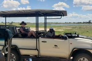 Excursión de un día completo al Parque Nacional de Chobe