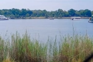 Chobe Half Day Trip from Victoria Falls