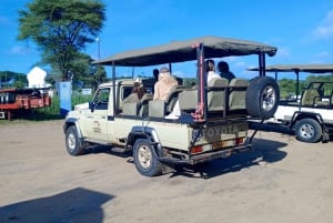 Chobe Half Day Trip from Victoria Falls