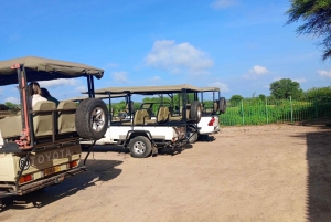 Chobe Half Day Trip from Victoria Falls