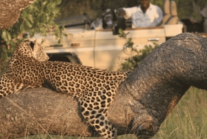 Chobe National Park 2-Day Safari with Transfers