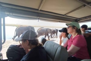 Wycieczka 1-dniowa do Parku Narodowego Chobe