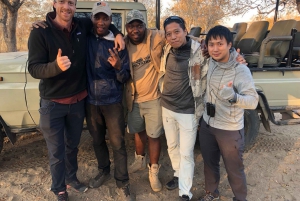 Chobe National Park: Game Drive, Lunch, and Cruise Day Trip