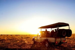 Chobe National Park Game Drive Tour