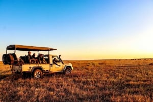 Chobe National Park Game Drive Tour