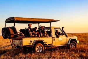 Chobe National Park Game Drive Tour