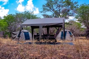 Chobe Overnight Camping Safaris