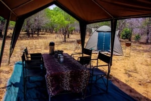 Chobe Overnight Camping Safaris