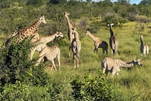 Chobe Overnight Trip, (natkørsel, landsbyvandring, camping)