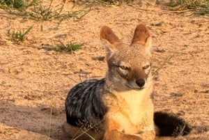 Chobe Overnight Trip, (natkørsel, landsbyvandring, camping)