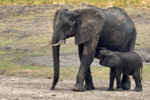 Chobe Overnight Trip, (natkørsel, landsbyvandring, camping)