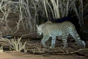 Chobe Overnight Trip, (natkørsel, landsbyvandring, camping)
