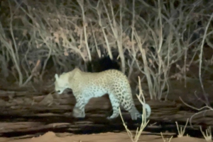 Chobe Overnight Trip, (natkørsel, landsbyvandring, camping)