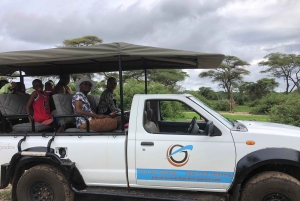 Chobe Overnight Trip, (natkørsel, landsbyvandring, camping)