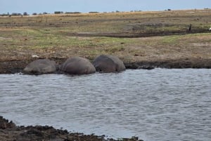 Chobe River Sunset Cruise
