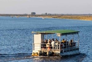 Chobe Safari: Boat Cruise, Game Drive & Chef Lunch