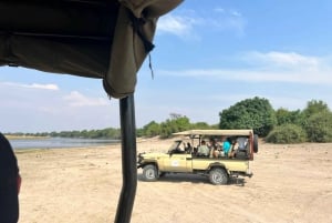 Chobe-safari dagstur fra Victoriafallene
