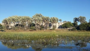 Cresta Maun