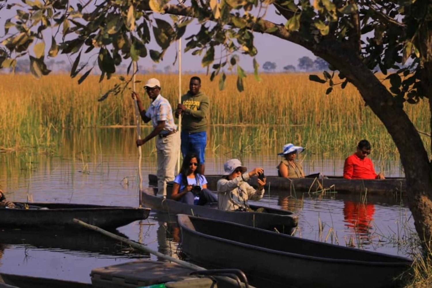Ditshiping: Canoa scavata nel Delta dell'Okavango: tour di 3 giorni