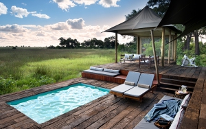 Duba Plains Camp