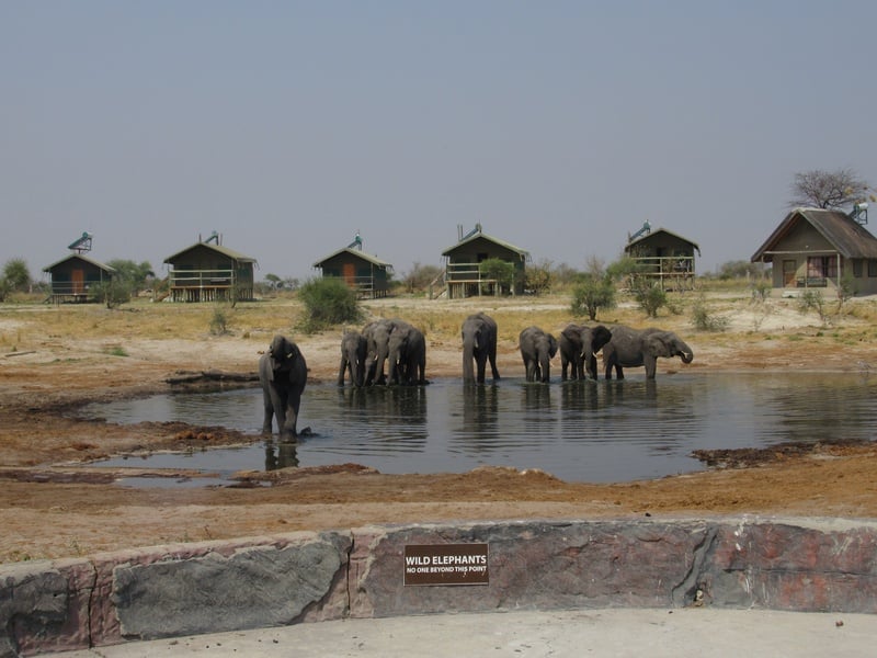 Elephant Sands Lodge
