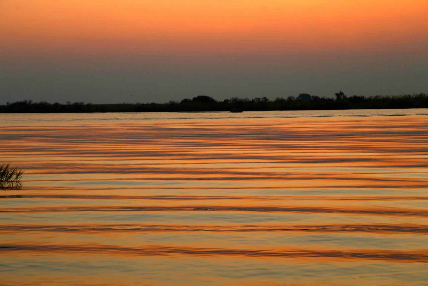From Kasane: Chobe River Sunset Cruise