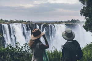 From Kasane: Day Trip to Victoria Falls with Lunch