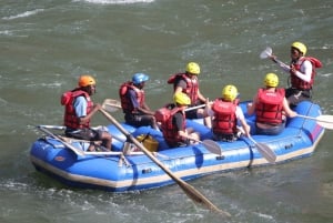 Z Kasane: Całodniowy rafting w białej wodzie