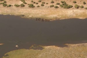 From Kasane: Helicopter Safari Flight (Chobe National Park)