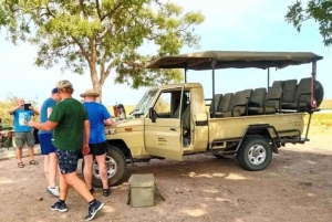 From Livingstone: Chobe National Park Day Trip with Lunch