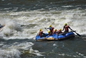 From Livingstone & Victoria Falls: Rafting & Safari Combo