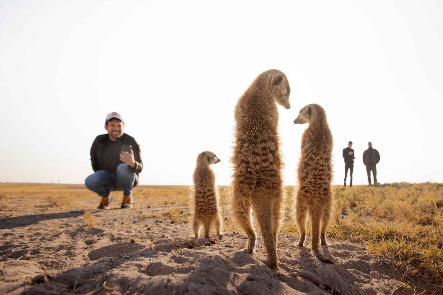 From Maun: 3-Day Makgadikgadi Salt Pans Safari Adventure