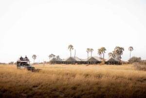 From Maun: 3-Day Makgadikgadi Salt Pans Safari Adventure
