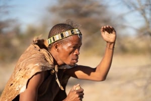 From Maun: 3-Day Makgadikgadi Salt Pans Safari Adventure