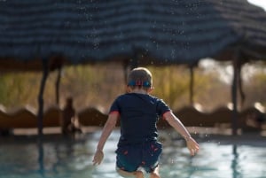 From Maun: 3-Day Makgadikgadi Salt Pans Safari Adventure