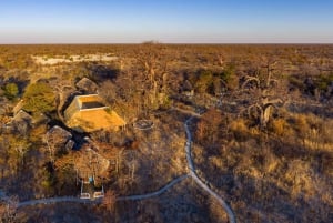 From Maun: 3-Day Makgadikgadi Salt Pans Safari Adventure