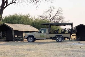 Från Maun: 3-dagars safaritur i Moremi Game Reserve