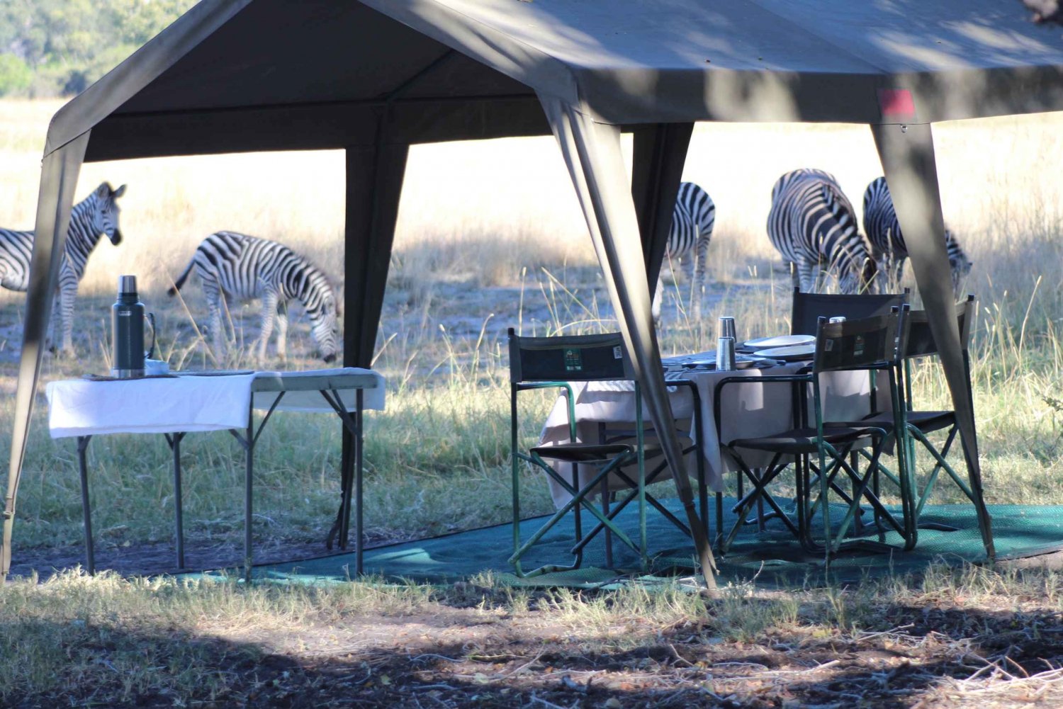 From Maun: Moremi Game Reserve Tour